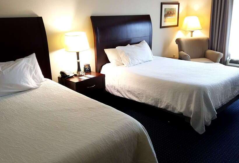 ホテル Hilton Garden Inn Lexington Georgetown