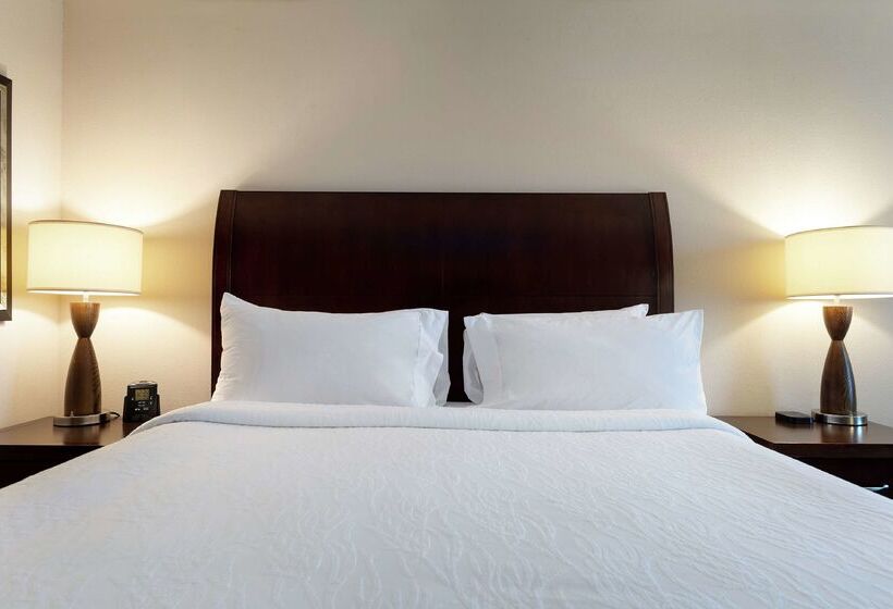 هتل Hilton Garden Inn Mobile West I 65/airport Blvd