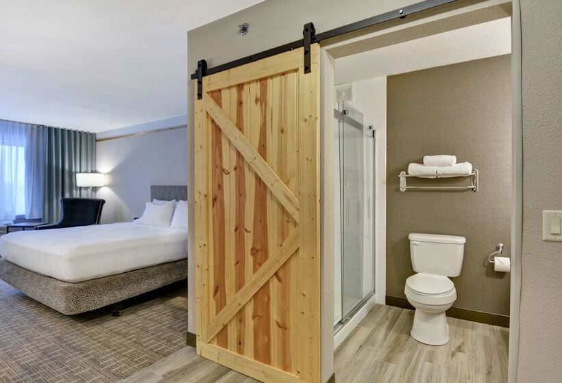 هتل Hilton Garden Inn Oshkosh
