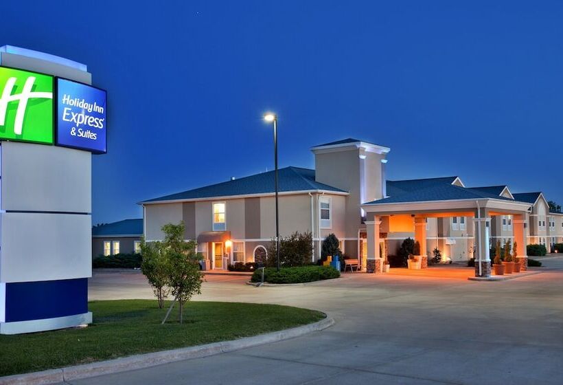 هتل Holiday Inn Express  & Suites Abilene