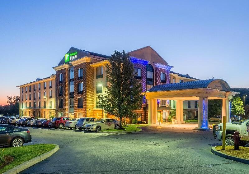 هتل Holiday Inn Express  & Suites Auburn