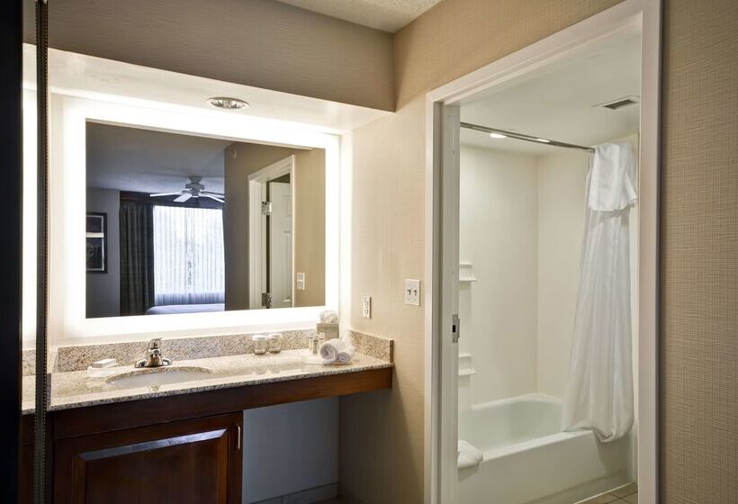 Hotel Homewood Suites By Hilton Dulles Int L Airport