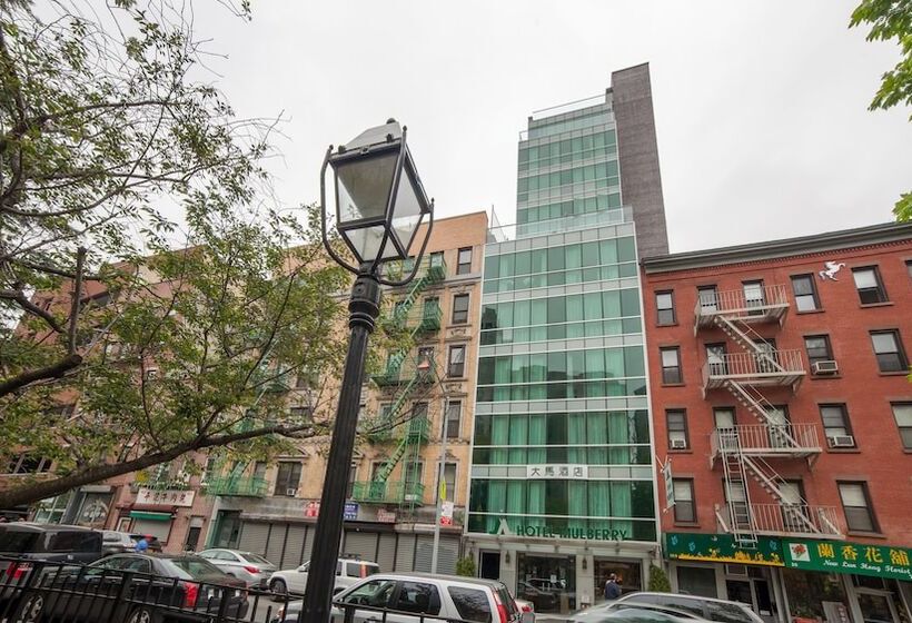 Fotos del hotel Hotel Mulberry:  5