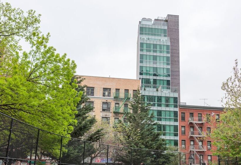 Fotos del hotel Hotel Mulberry:  22