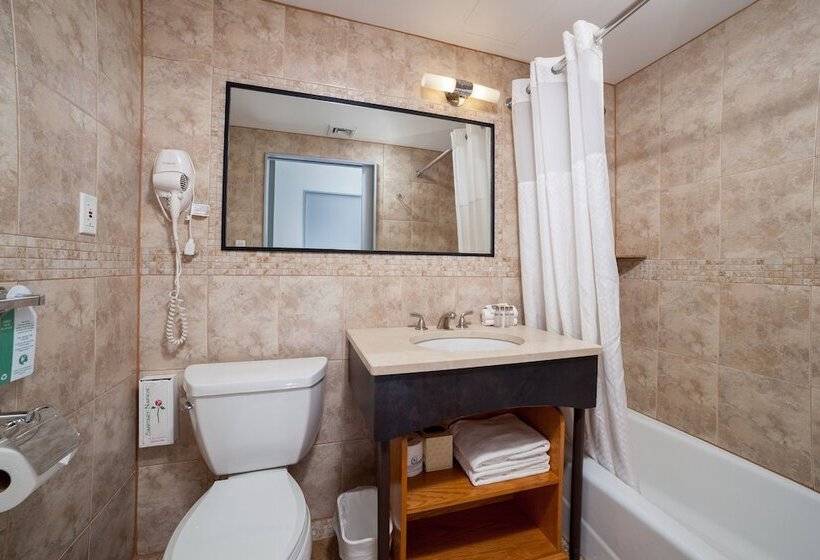 Fotos del hotel Hotel Mulberry:  30