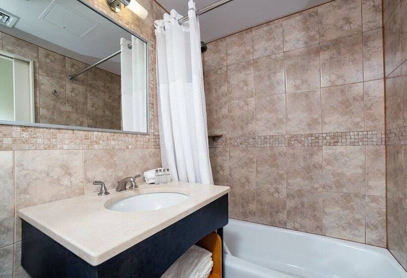 Fotos del hotel Hotel Mulberry:  11