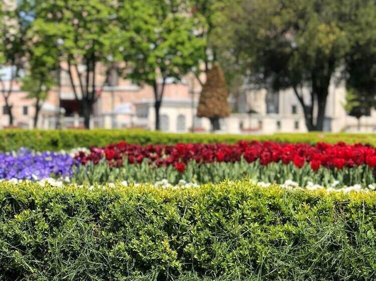 Fotos del hotel Nomade Oldcity:  24