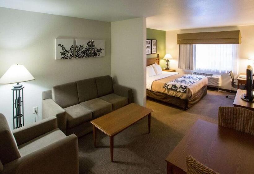 فندق Sleep Inn & Suites Conference Center