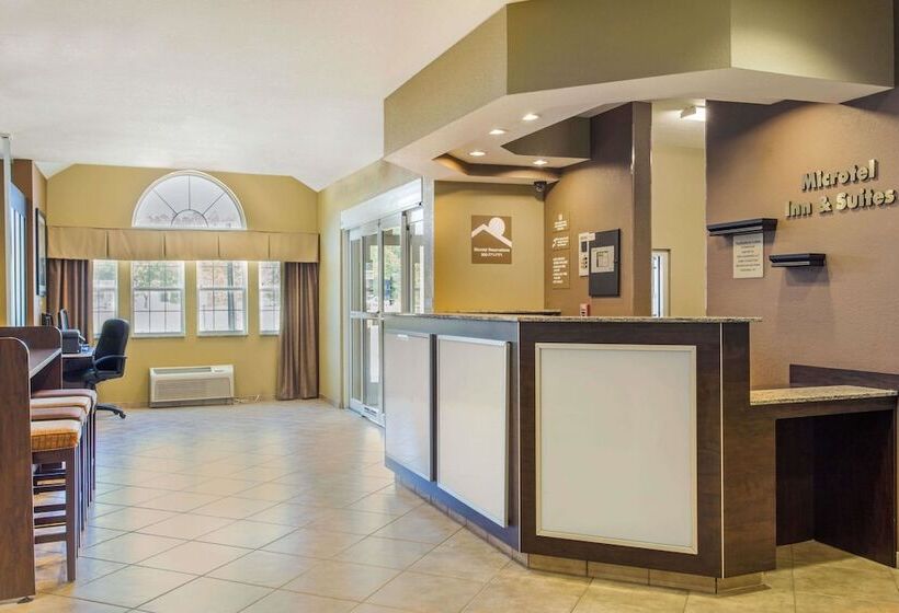 Microtel Inn & Suites By Wyndham Pearl River/slidell