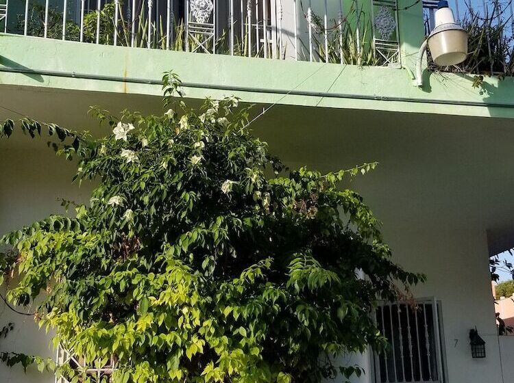 Fotos del hotel Green House Aparta:  8