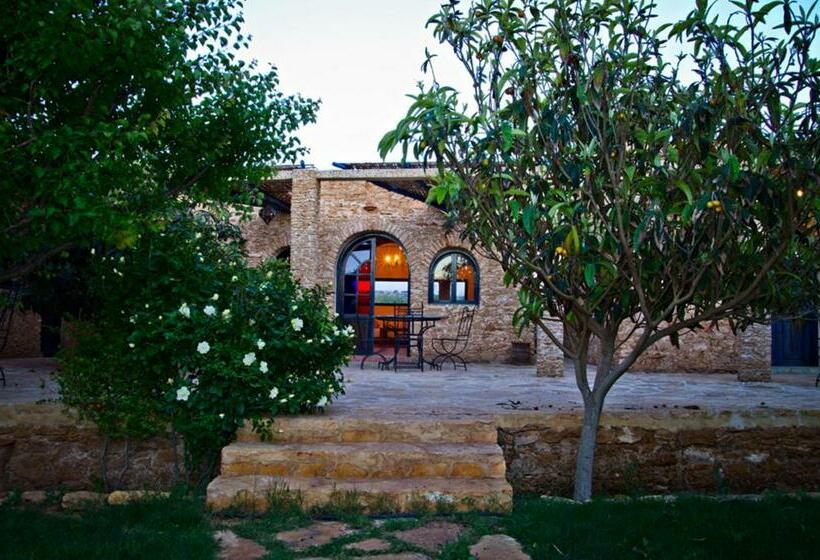 Bed and Breakfast Ryad De Vignes Le Val D Argan