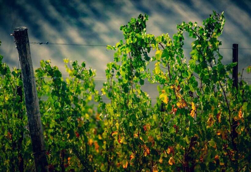 Filodivino Wine Resort & Spa
