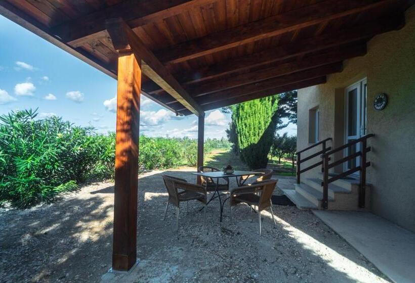 هتل Bonsai B&b Alghero
