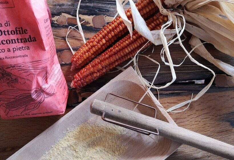 هتل Tenuta San Marcello