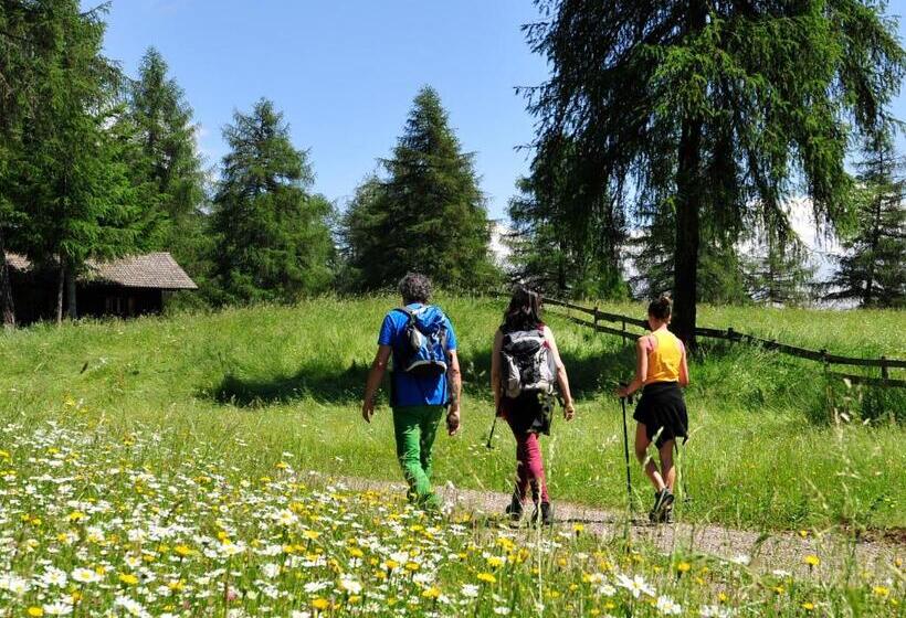هتل Tschögglbergerhof