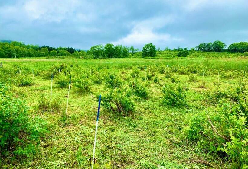 膳宿费 Blueberryhouse音威子府村