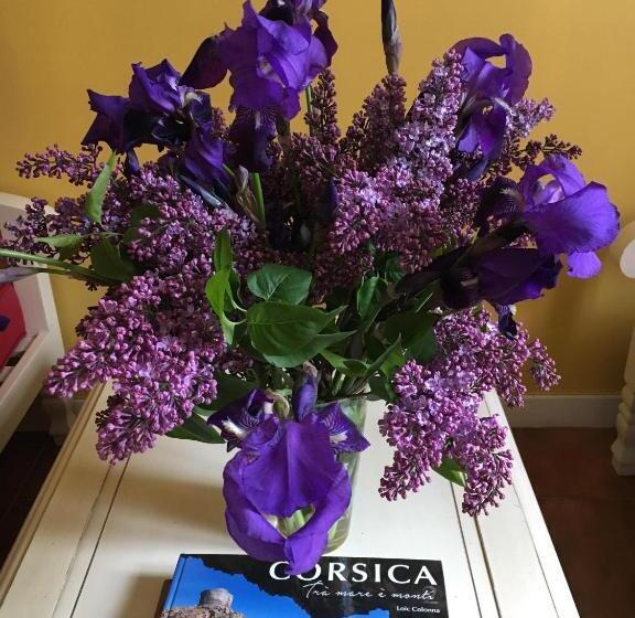 پانسیون Casa Meridiana