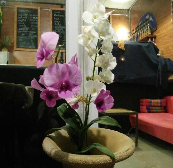 پانسیون Green Happy Homestay