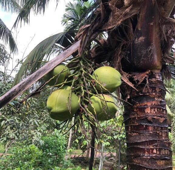 پانسیون Green Happy Homestay