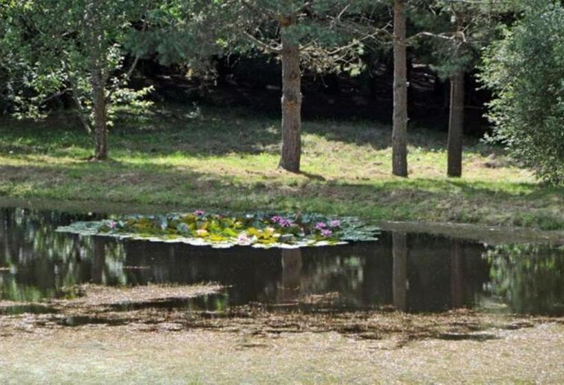 فندق صغير Auberge De La Cholotte