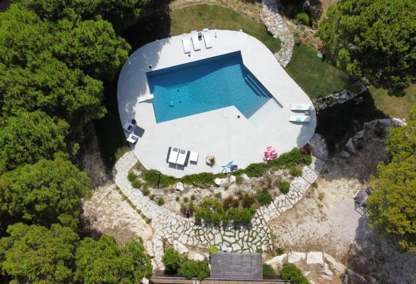 تختخواب و صبحانه Greenvalley Bnb