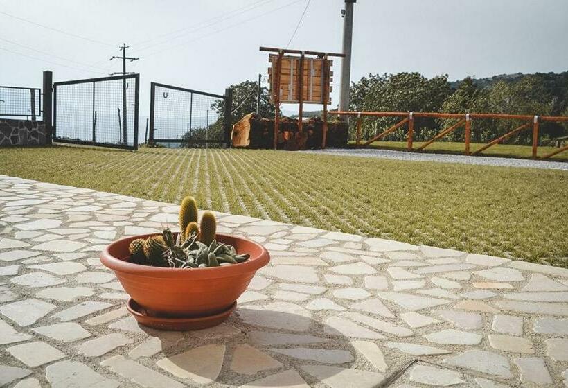 ベッドアンドブレックファースト Le Radici Laviano