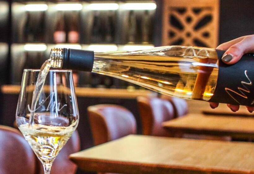 هتل Mariel Znojmo