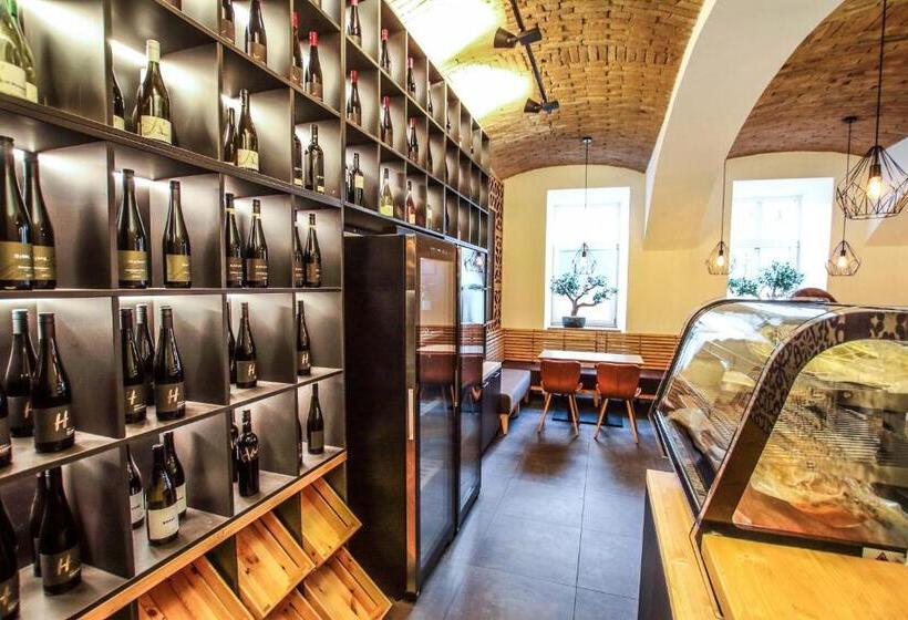 هتل Mariel Znojmo