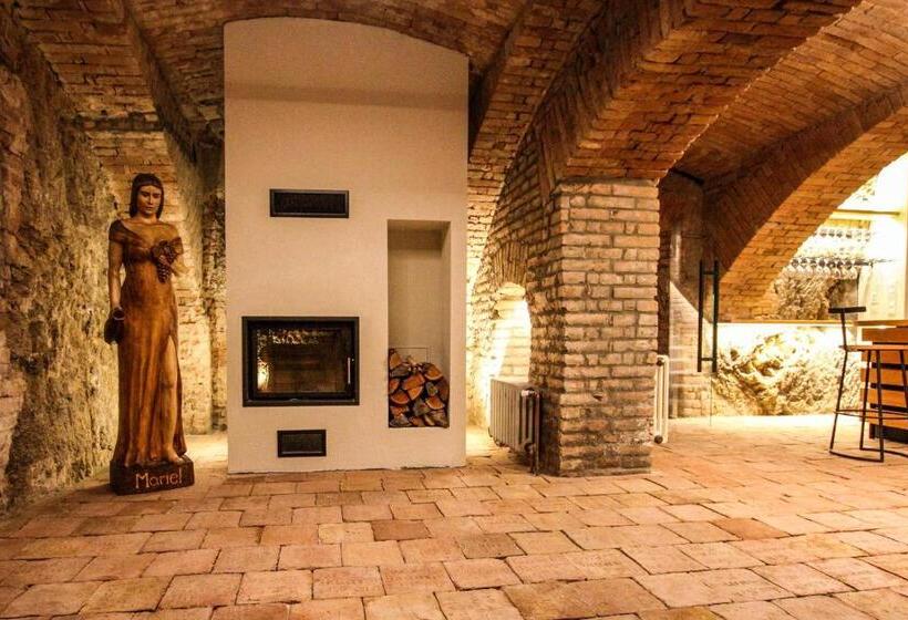 هتل Mariel Znojmo