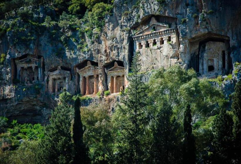 בית מלון כפרי Turay