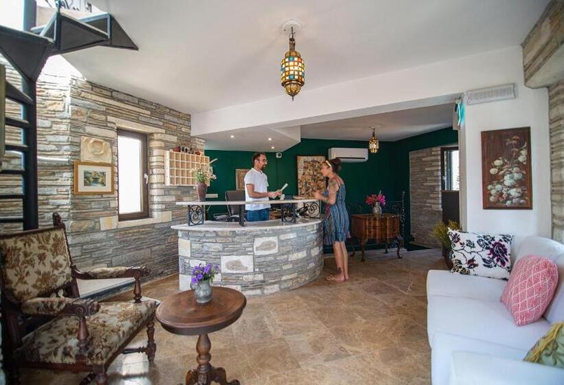 בית מלון כפרי Turay