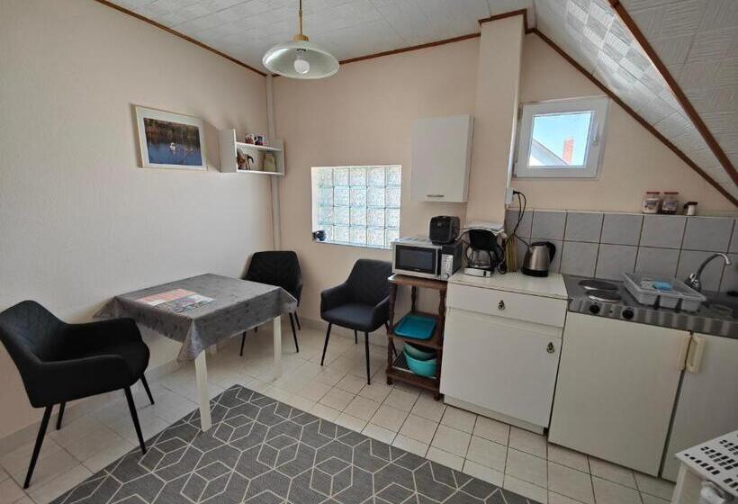 بنسيون Viola House