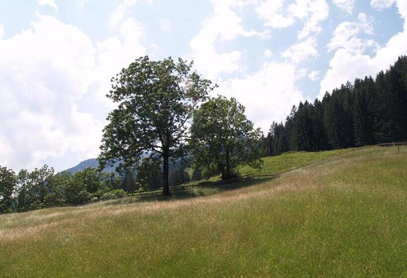 Pension Talblick In Wängle Bei Reutte