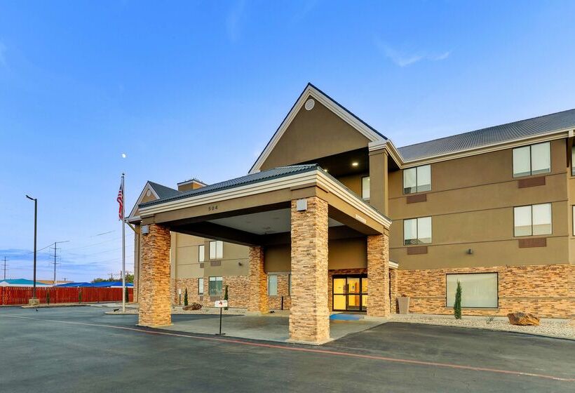 Hotel Brownwood Express Inn & Suites