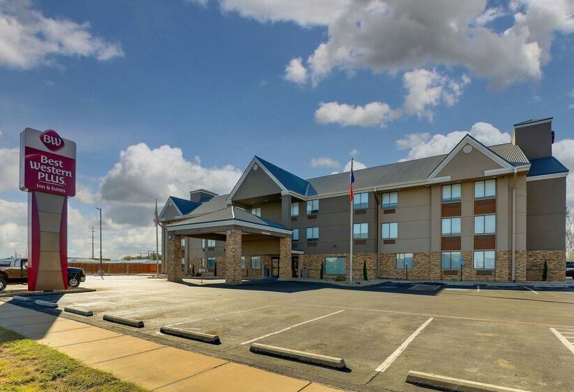 Hotel Brownwood Express Inn & Suites