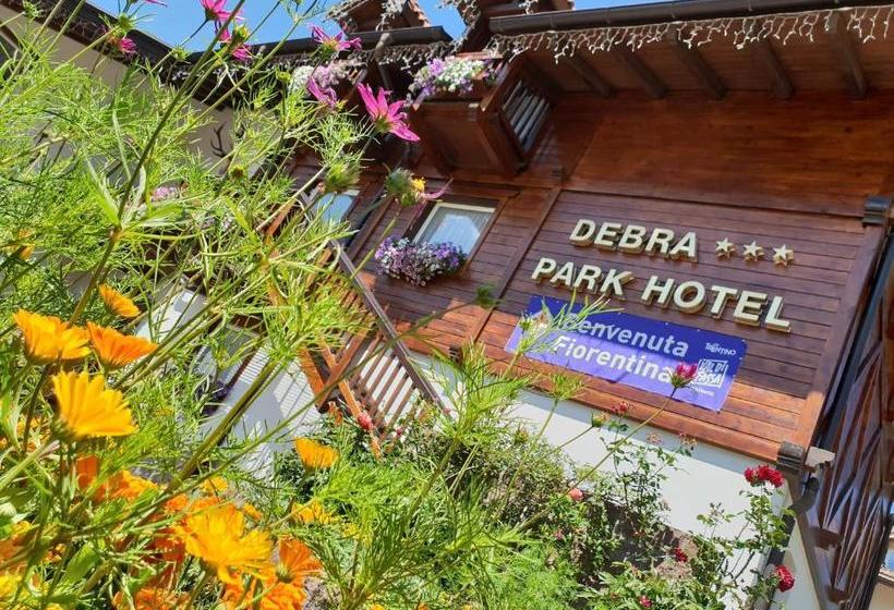 בית מלון כפרי Debra Park