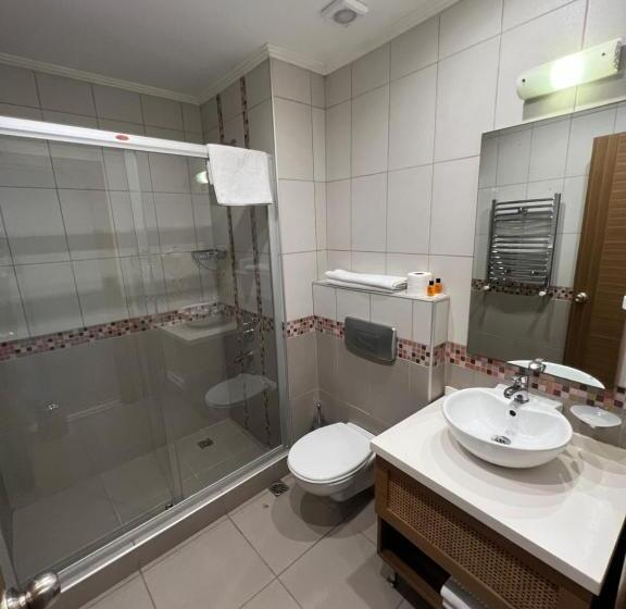 Fotos del hotel Flower Palace:  12