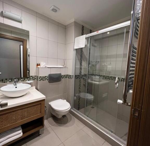 Fotos del hotel Flower Palace:  14