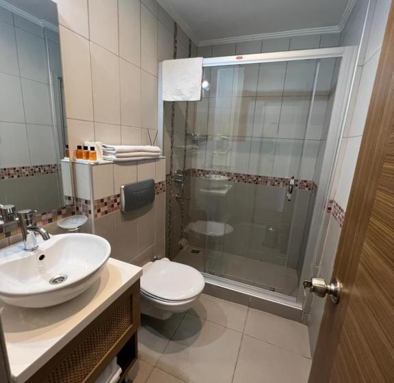 Fotos del hotel Flower Palace:  15