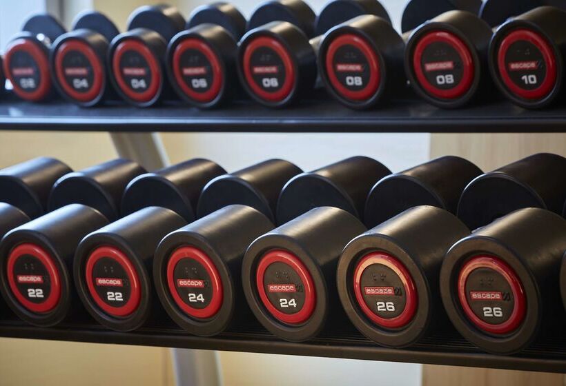 Fotos del hotel Hilton Garden Inn Frankfurt Airport:  17