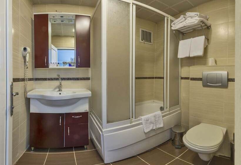 Fotos del hotel Istanbul Holiday:  14