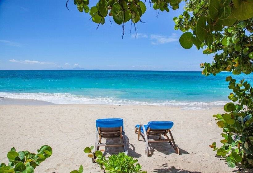 هتل Keyonna Beach   All Inclusive   Couples Only