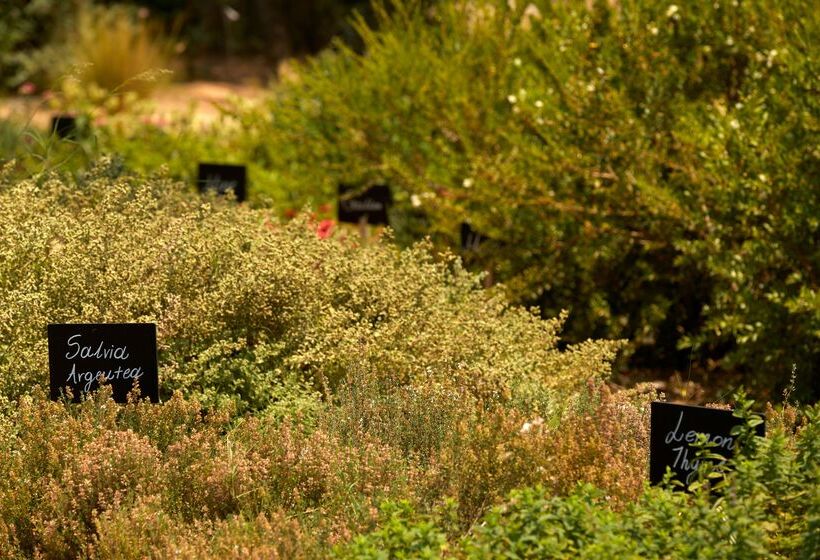 فندق Minos Palace Resort Adults Only