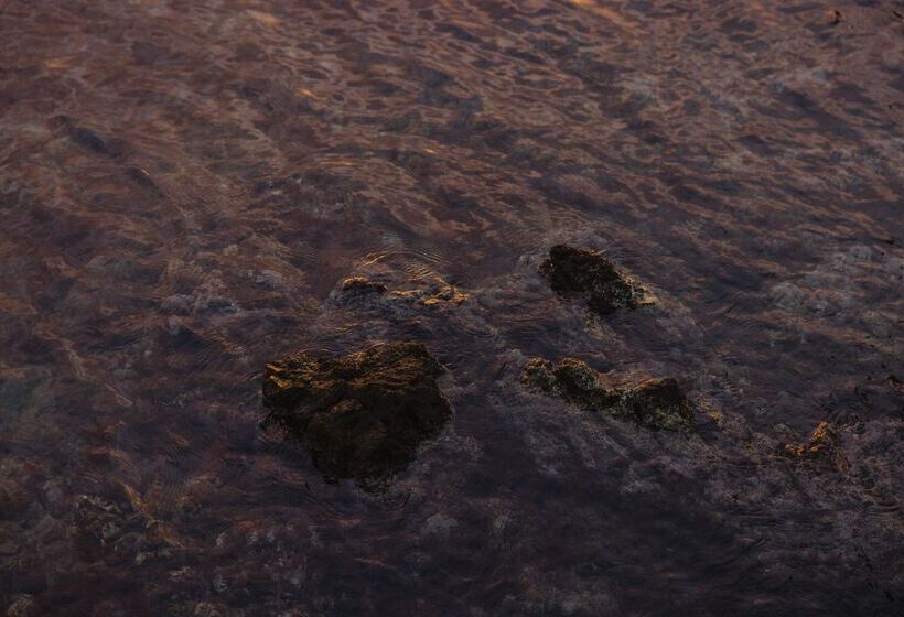 فندق Minos Palace Resort Adults Only