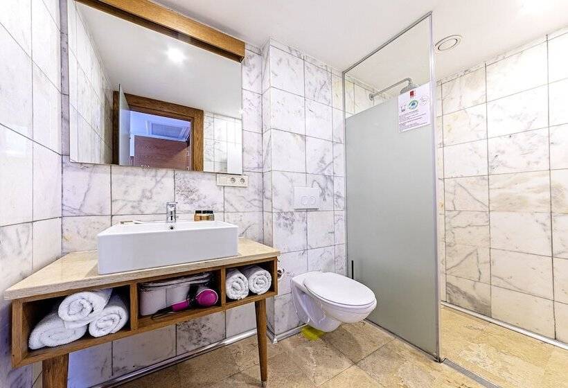 Fotos del hotel Neda Hotel Istanbul:  22