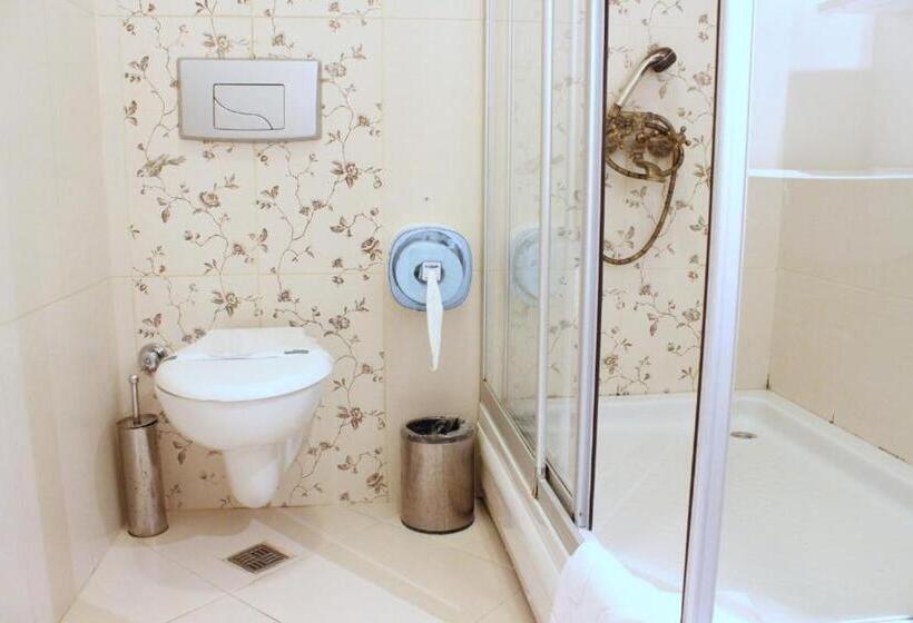 Fotos del hotel Santa Hill:  15