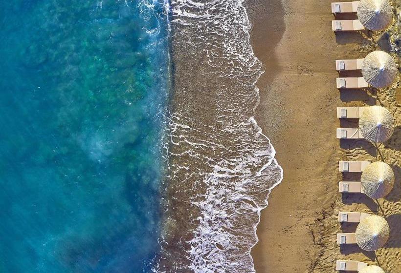 Fotos del hotel Vasia Boulevard:  13