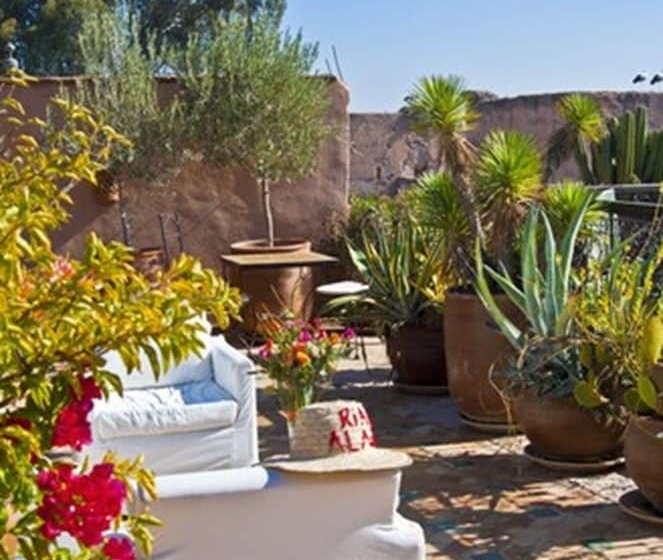Riad Aladdin