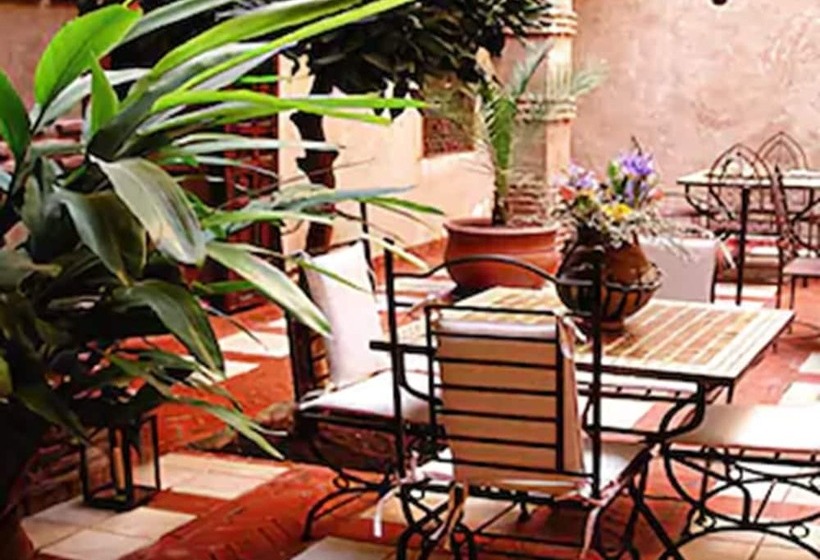 Riad Aladdin