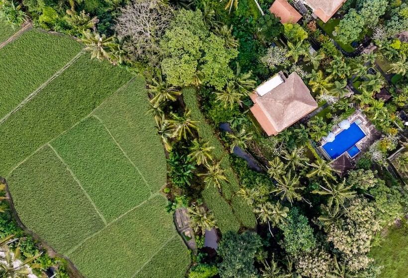 Fotos del hotel Alam Shanti:  16